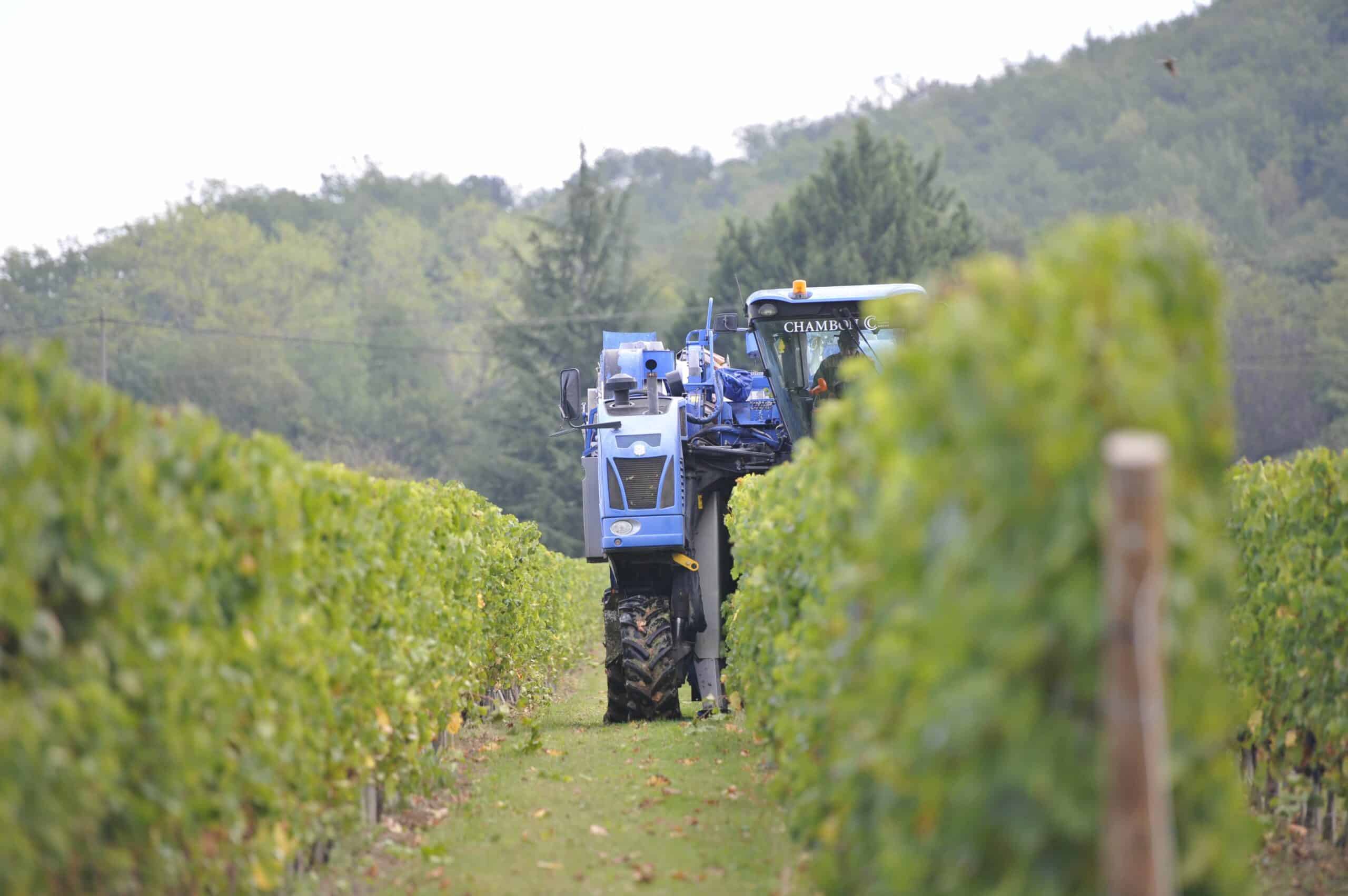 les-immanquables-de-vos-vendanges-evv