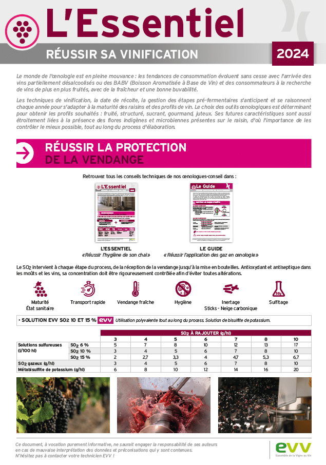 Image essentiel vinification