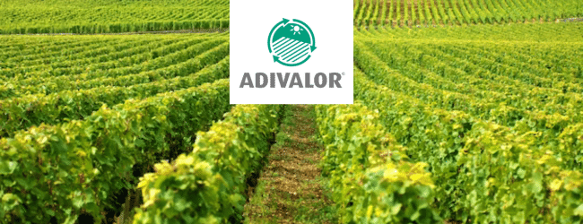 Logo ADIVALOR