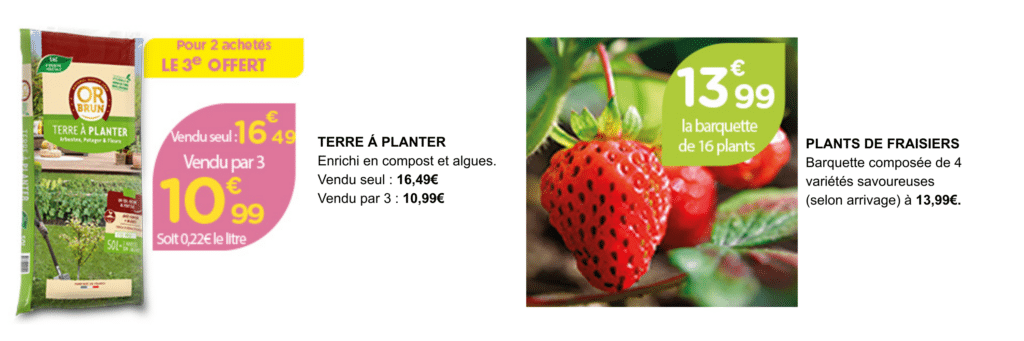 Terre à planter et plants de fraisiers