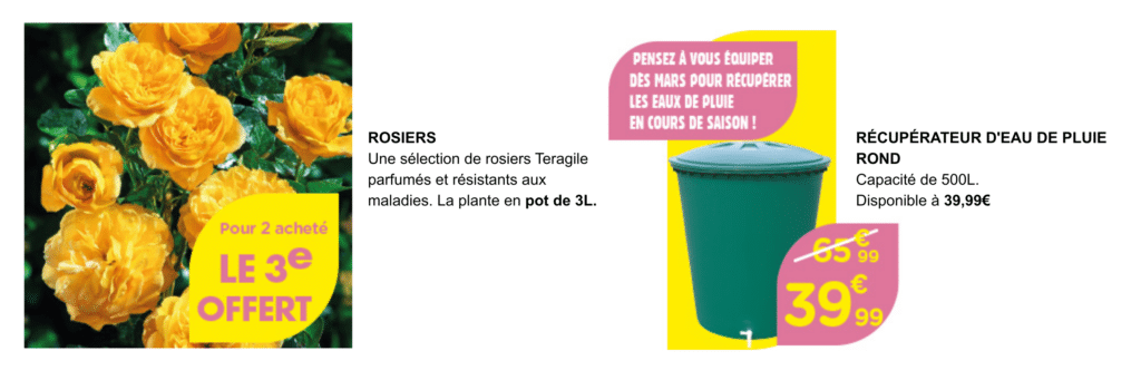 Rosier et récupérateur d'eau de pluie