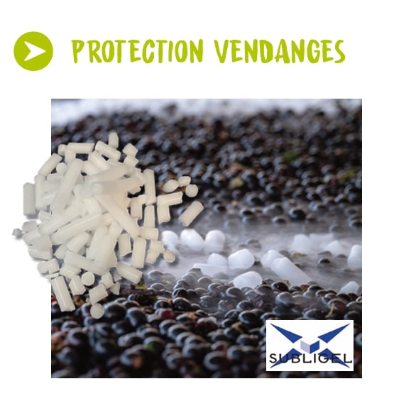 Promotions sur nos la glace carbonique en stick