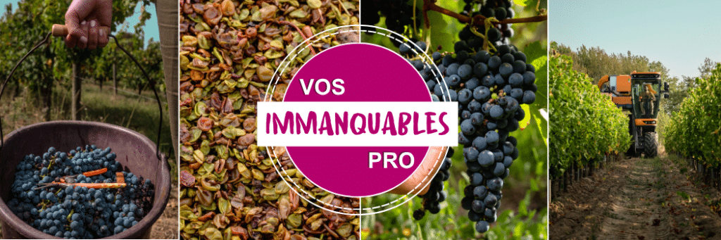 Les Immanquables de vos vendanges