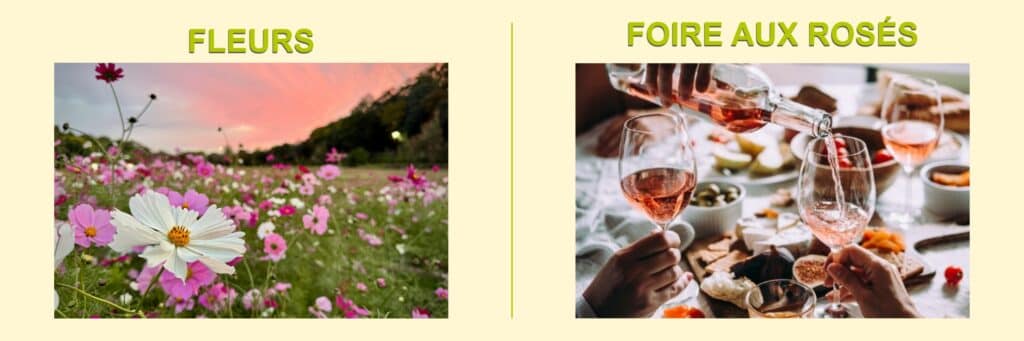 Fleurs et foire aux rosés 