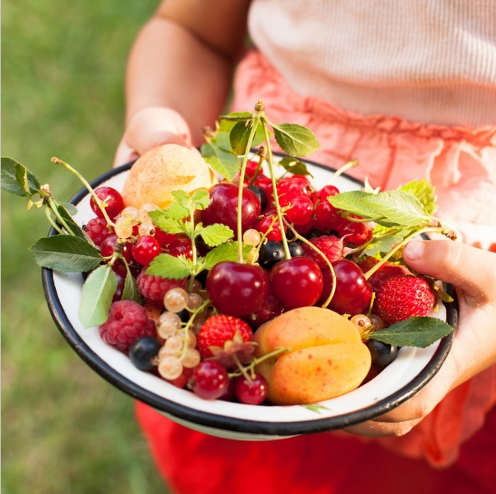 Offres sur nos produits de conserves pour vos fruits de saison !