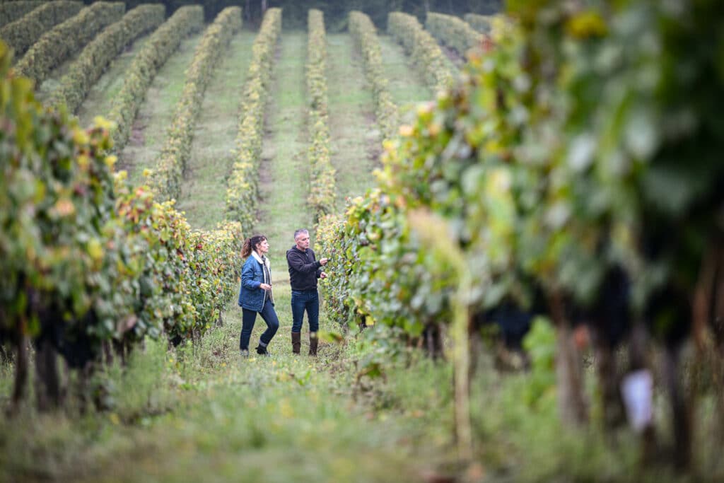 EVV vous accompagne pendant les vendanges