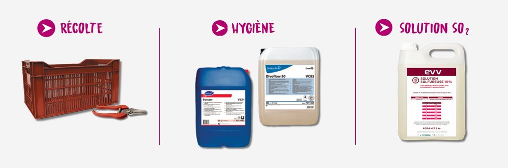 Accessoires de récolte, produits d'hygiène, solution SO2