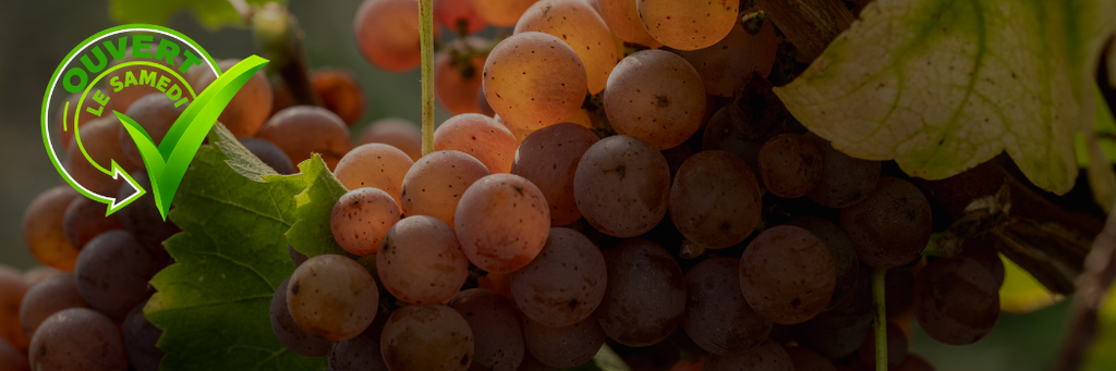 Vos magasins EVV et votre laboratoire d'analyses ouvrent le samedi matin pour cette période de vendanges.