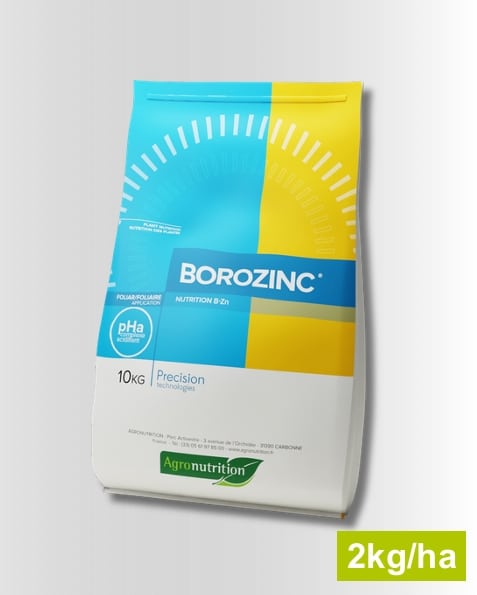 Borozinc - 2kg/ha
